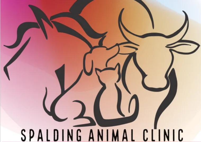 $250 Certificate for Spalding Animal Clinic Services